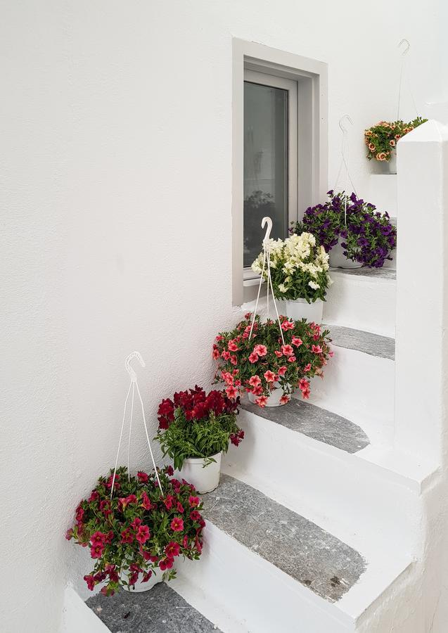 Aniko Suites Chora Mykonos Town Εξωτερικό φωτογραφία